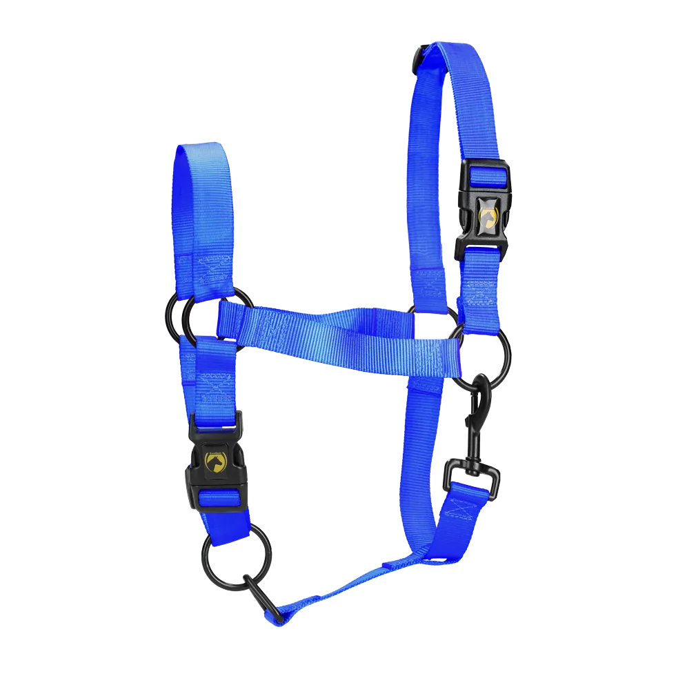 L Cob Halter in Blue