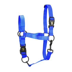 L Cob Halter in Blue