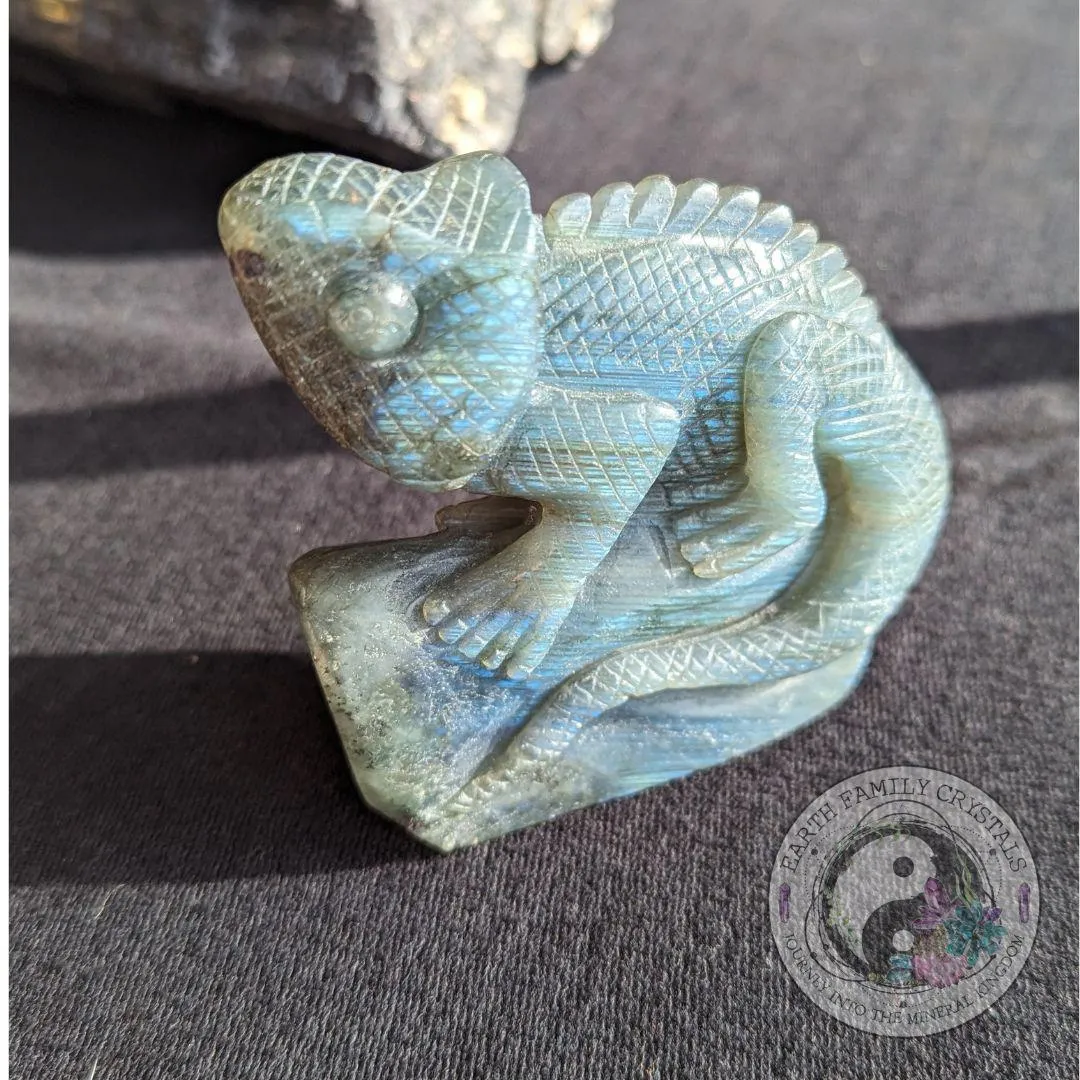 Flashy Labradorite Iguana Carving