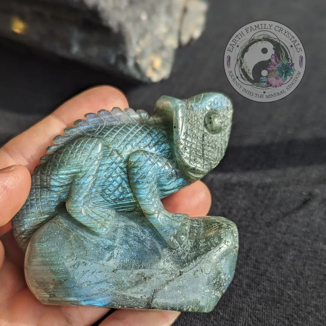 Flashy Labradorite Iguana Carving