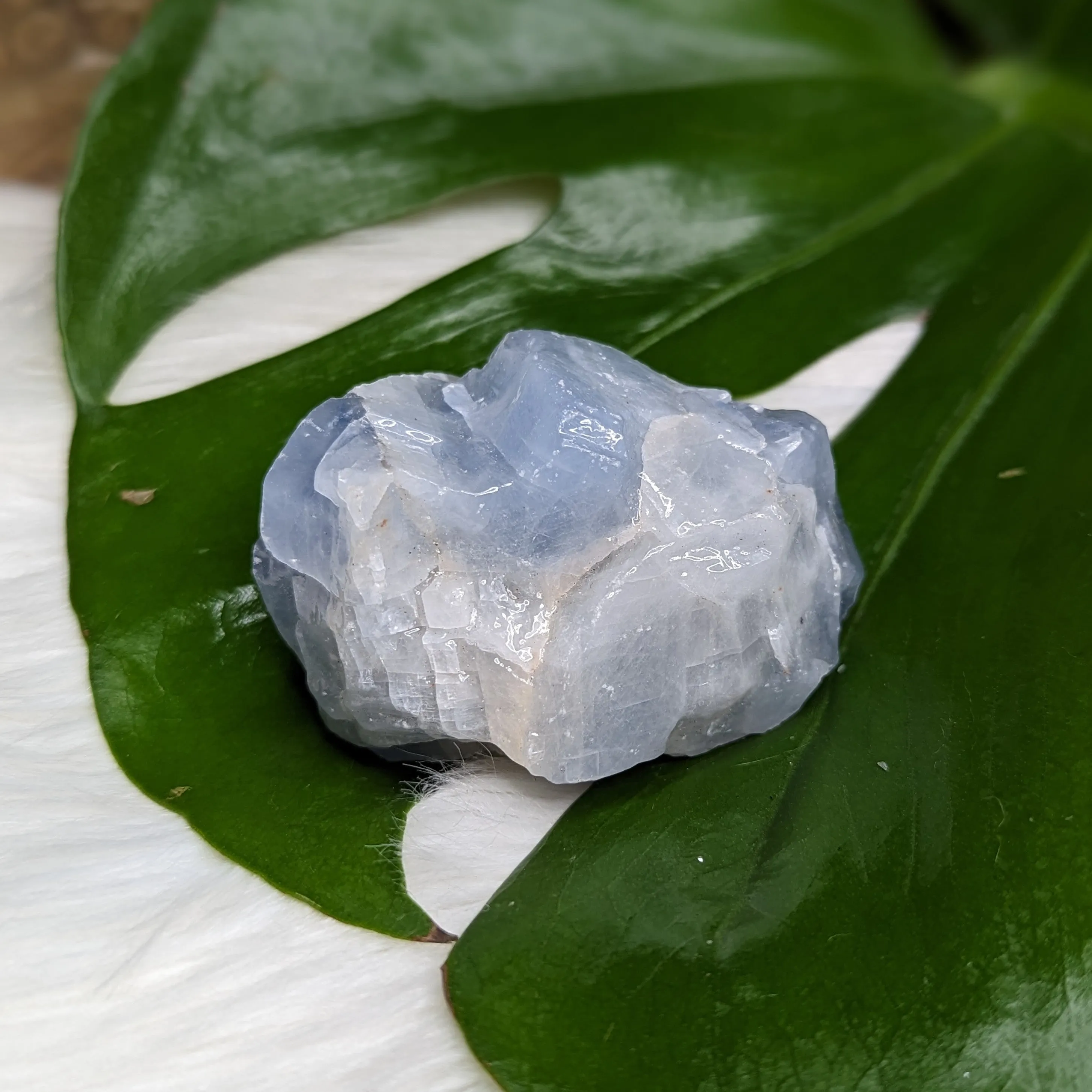 Blue Raw Calcite Mexico Free-Form Specimen