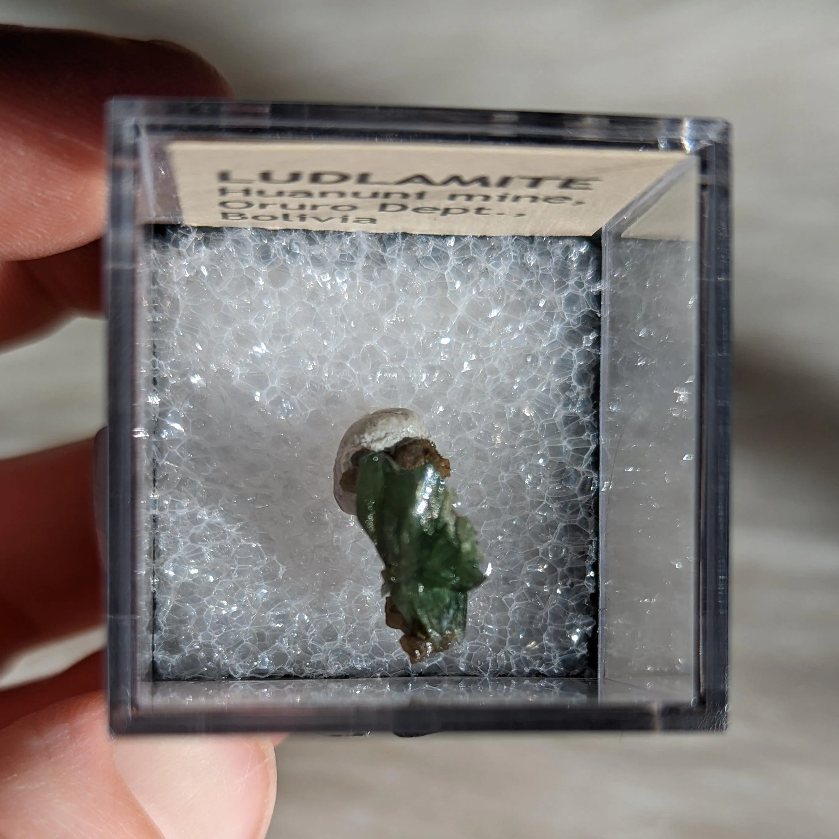 Rare Ludlamite Specimen from Bolivia in Collector's Case