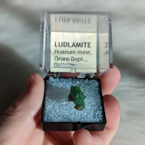 Rare Ludlamite Specimen from Bolivia in Collector's Case