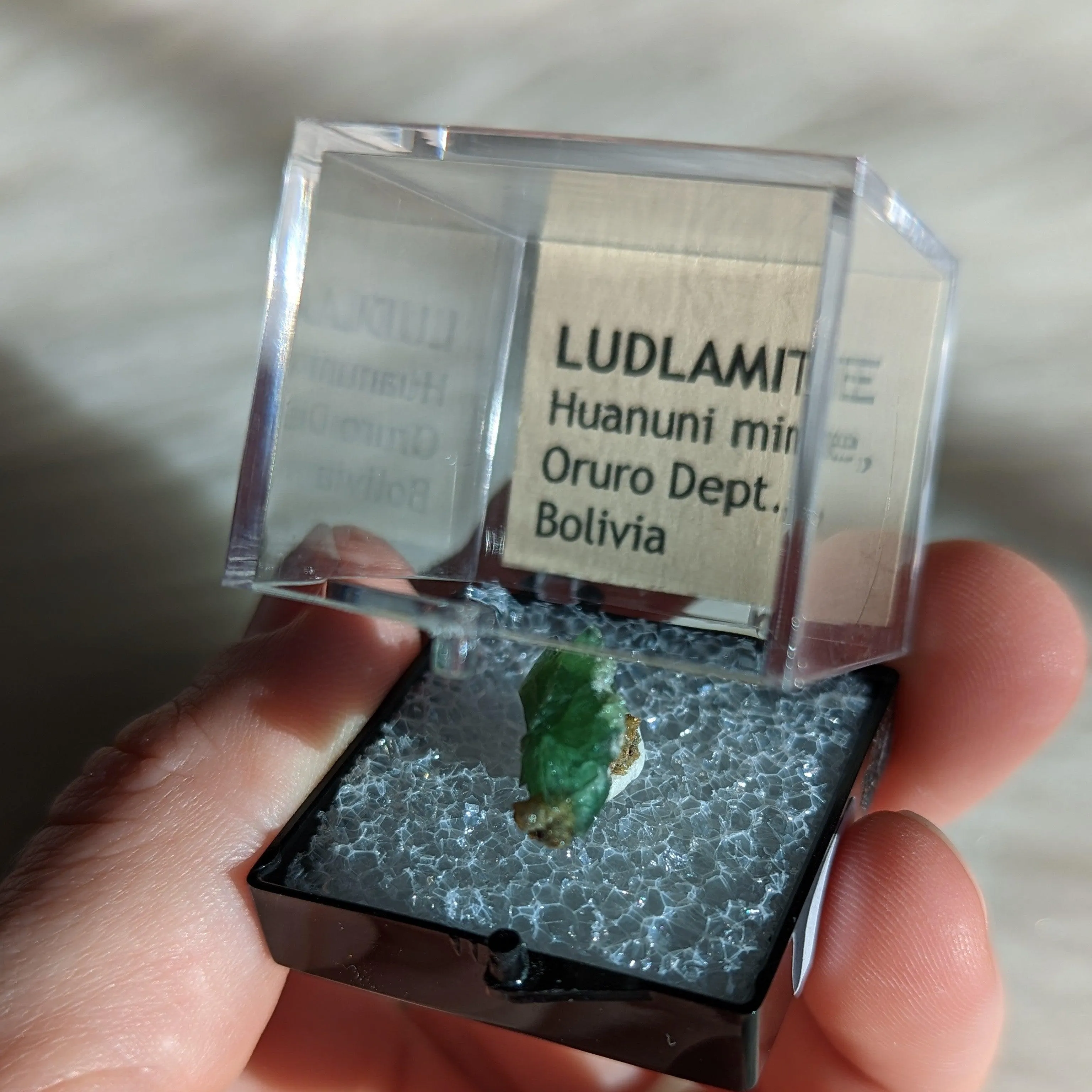 Rare Ludlamite Specimen from Bolivia in Collector's Case