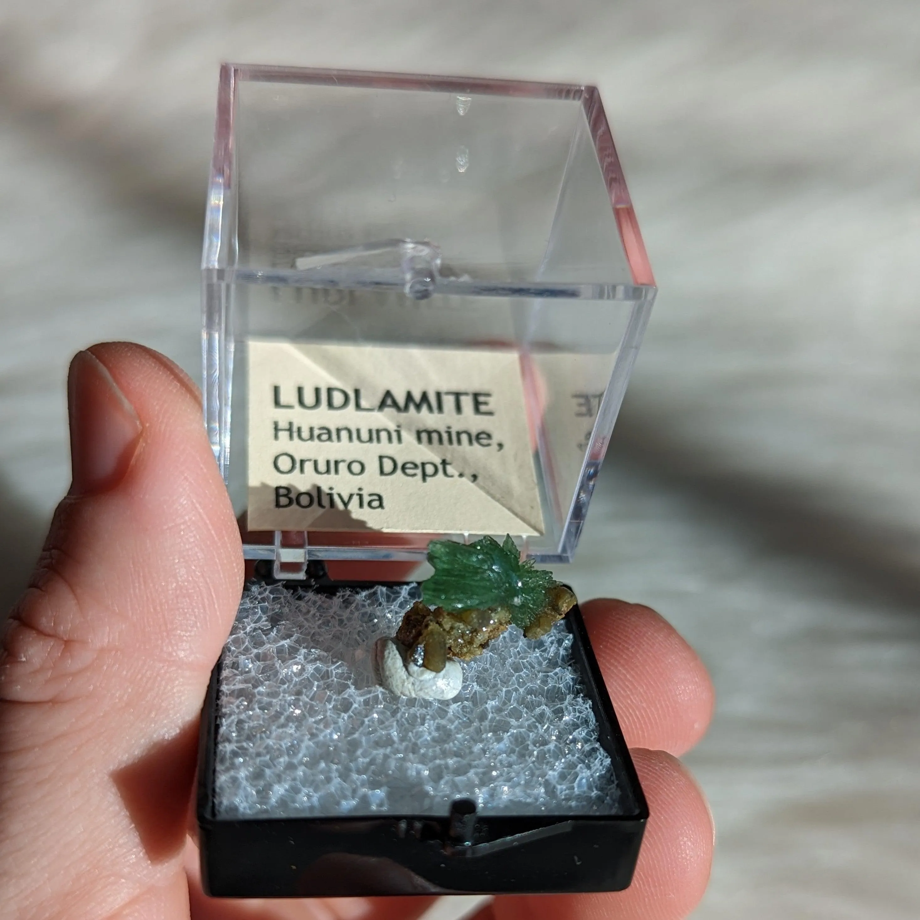 Rare Ludlamite Specimen from Bolivia in Collector's Case