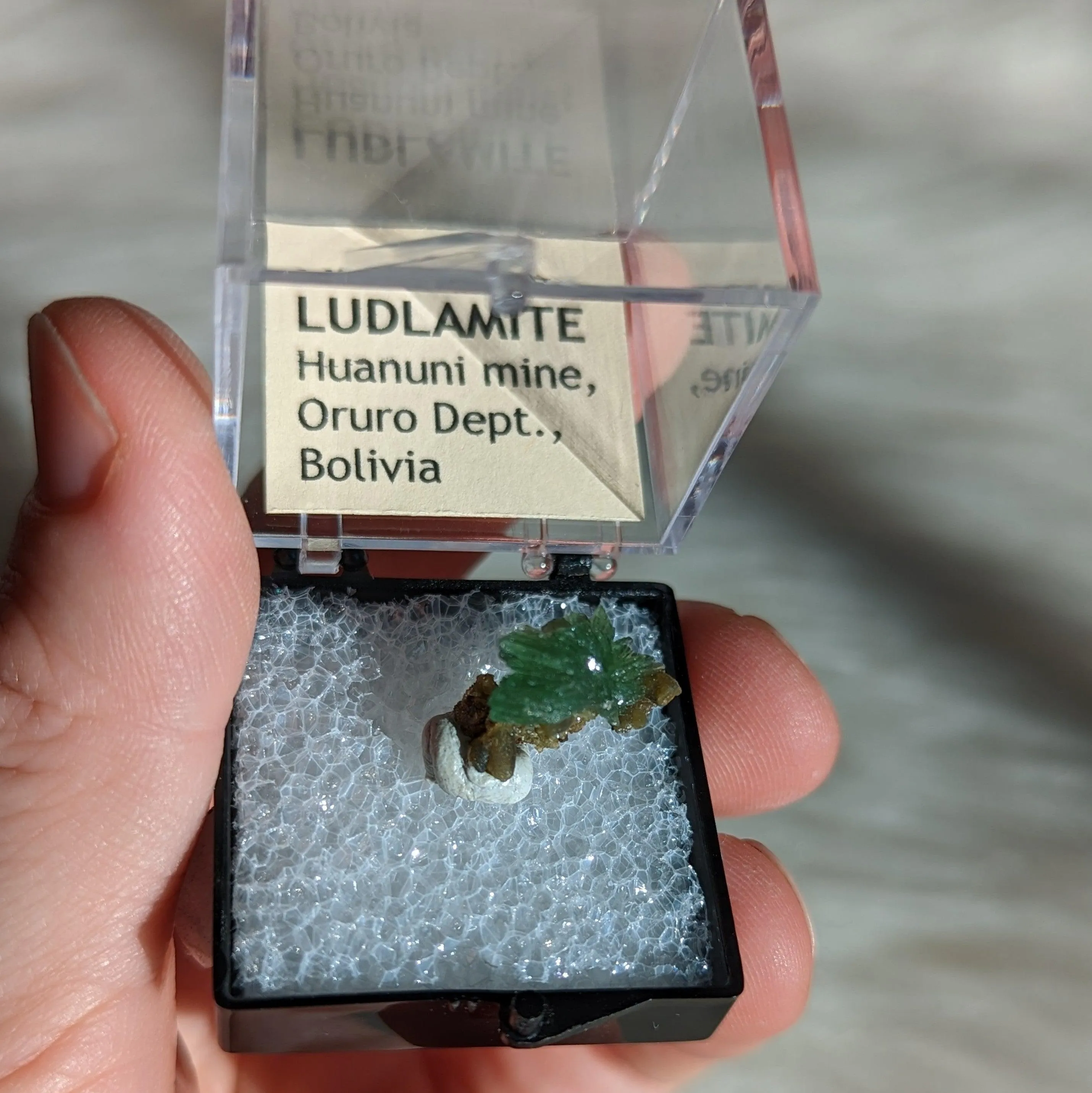 Rare Ludlamite Specimen from Bolivia in Collector's Case