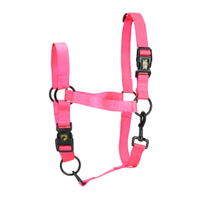 S Foal Halter in Pink