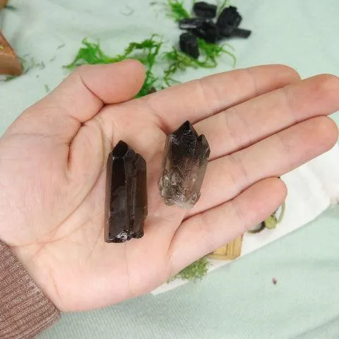 Brazilian Smoky Quartz Crystal Points Set for Grids