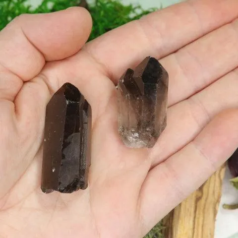 Brazilian Smoky Quartz Crystal Points Set for Grids