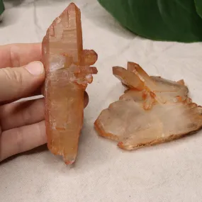 Hematoid Quartz Points for Chakra Balancing from Madagascar