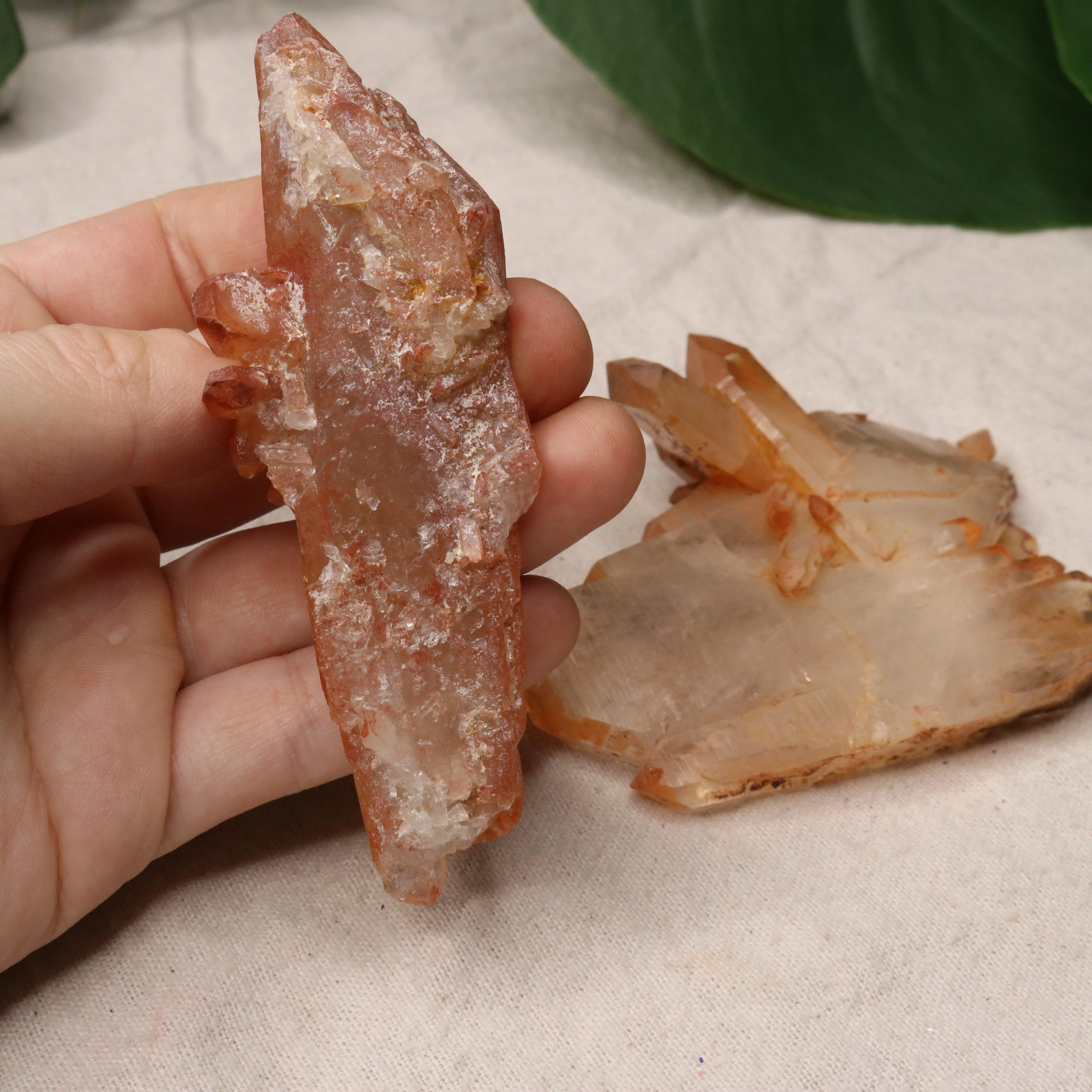 Hematoid Quartz Points for Chakra Balancing from Madagascar