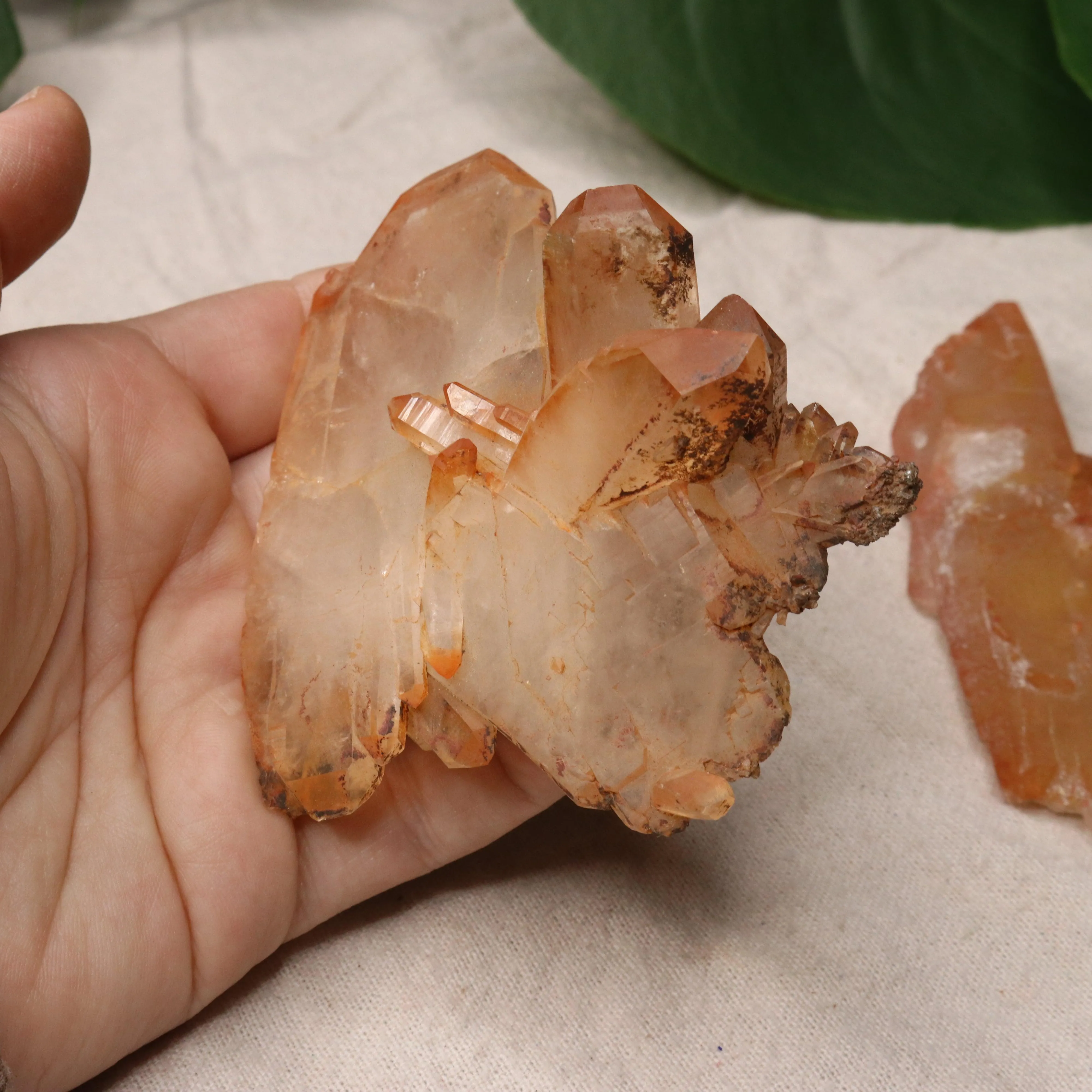 Hematoid Quartz Points for Chakra Balancing from Madagascar