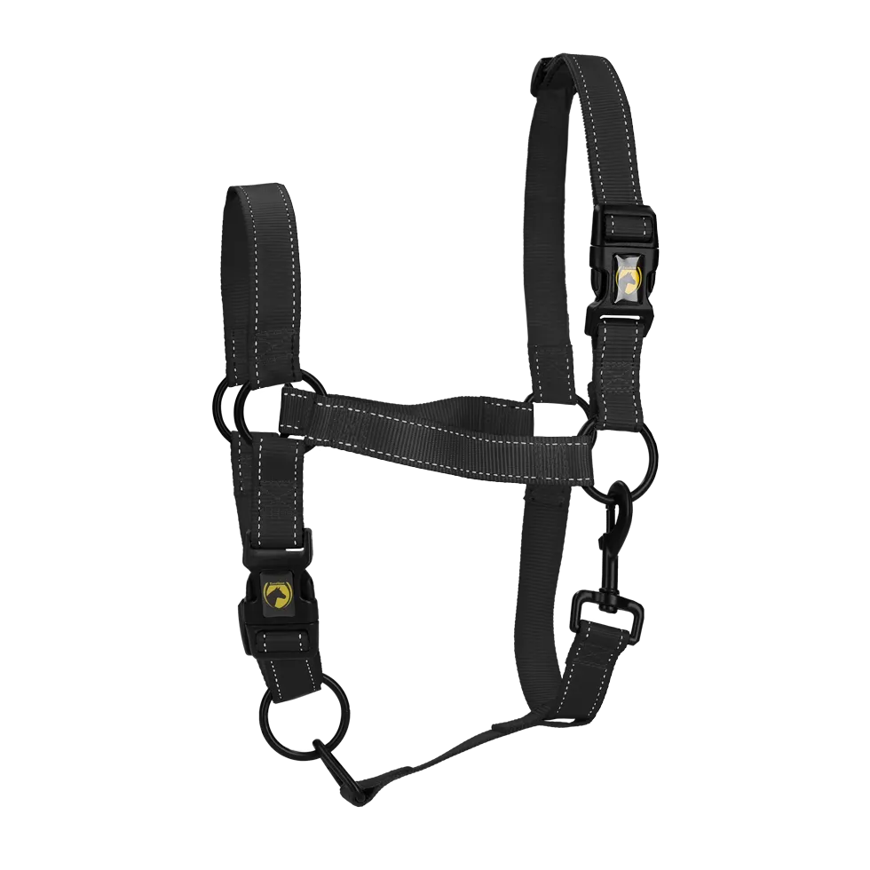 Premium Horse Halter Extra Large Black