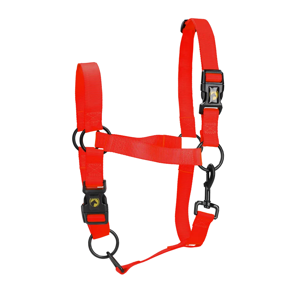 XS Mini Foal Halter in Red