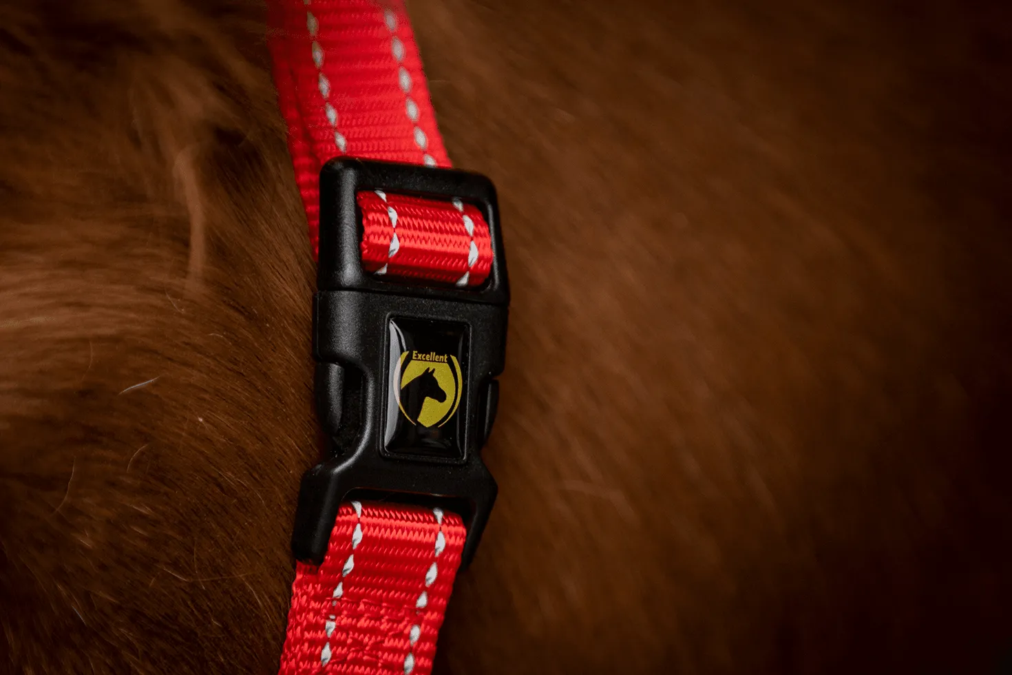 XS Mini Foal Halter in Red