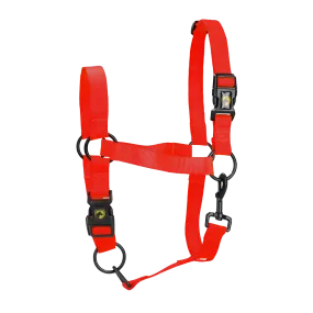 XS Mini Foal Halter in Red