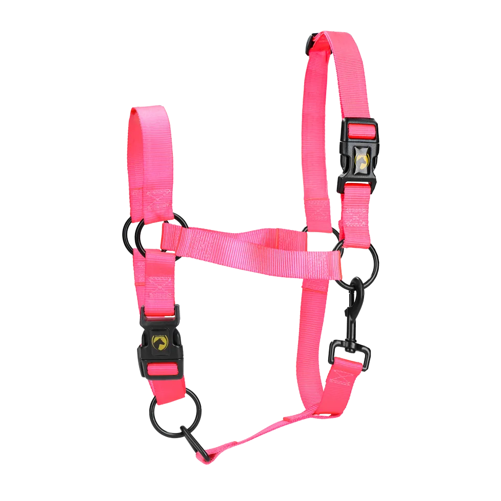 XS Mini Foal Halter in Pink